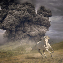 The White Buffalo - Year Of The Dark Horse [CD]