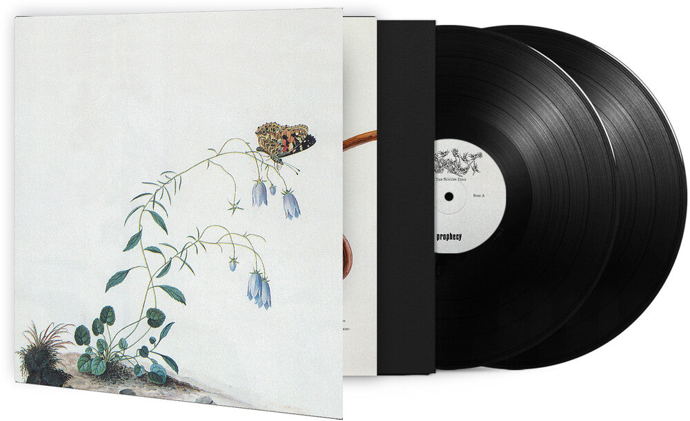 the album cover for Botanist - I: The Suicide Tree / II: A Rose From The Dead