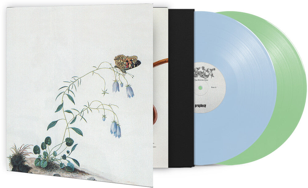the album cover for Botanist - I: The Suicide Tree / II: A Rose From The Dead