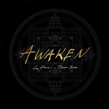the album cover for Lee Harris & Davor Bozic - Awaken - Gold [Colored Vinyl] (Gol)