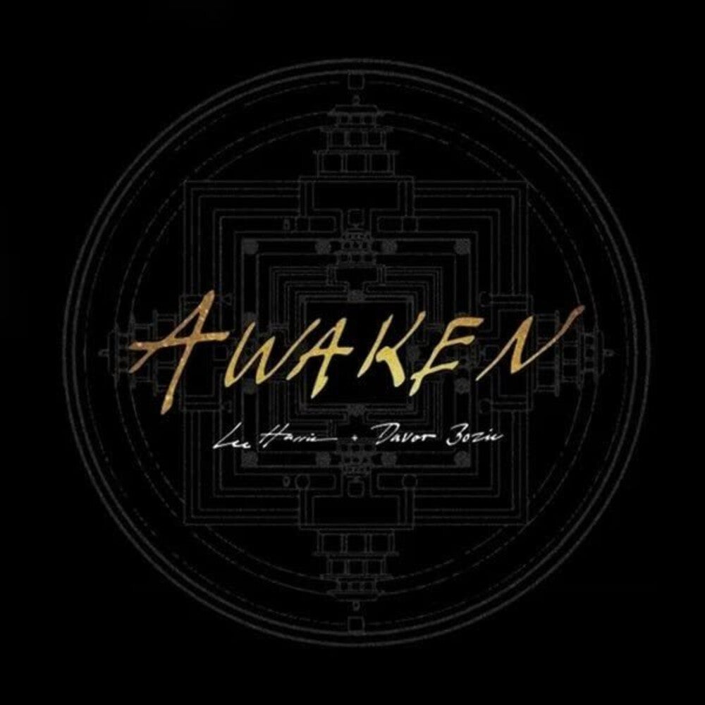 the album cover for Lee Harris & Davor Bozic - Awaken - Gold [Colored Vinyl] (Gol)