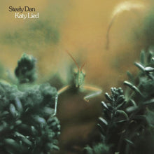 the album cover for Steely Dan - Katy Lied