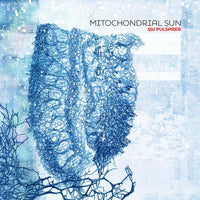 the album cover for Mitochondrial Sun - Sju Pulsarer [Colored Vinyl] (Wht) (Can)