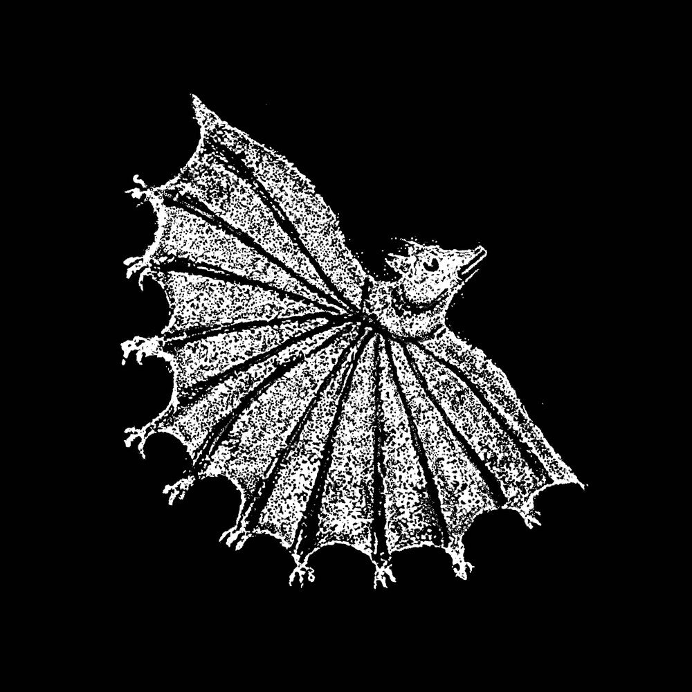 the album cover for Xiu Xiu - Ignore Grief [Silver Ghost LP]