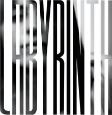 the album cover for Heather Broderick  Woods - Labyrinth - White & Gray [Colored Vinyl] (Gry) (Wht)