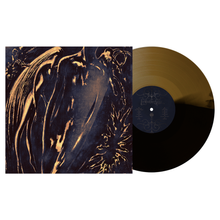 the album cover for Commoner - Former Self [Black Ice / Gold]