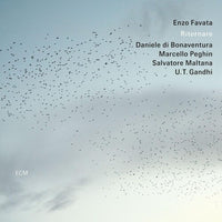 the album cover for Enzo Favata - Ritornare