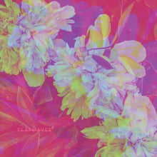 the album cover for Flatwaves - Numbra