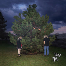the album cover for 100 Gecs - 1000 Gecs (Mod)