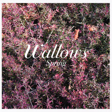 the album cover for Wallows - Spring (Mod)