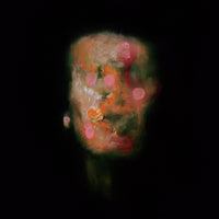 the album cover for Lanterns On The Lake - Versions Of Us