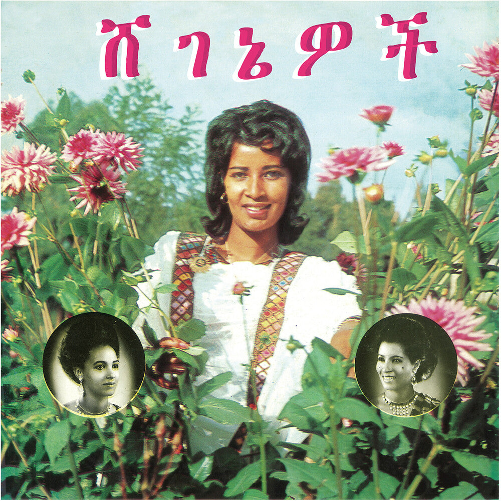 the album cover for Aselefech Ashine - Beauties