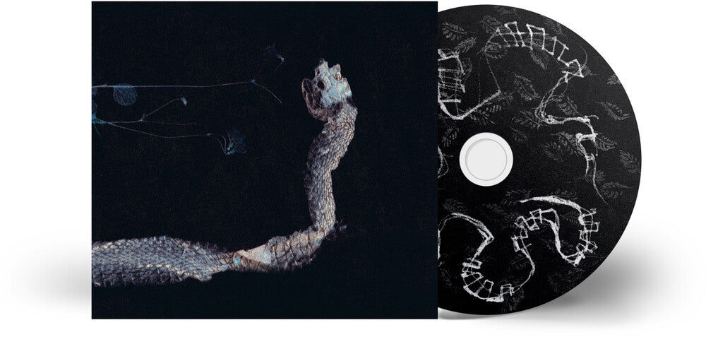 the album cover for Tenhi - Maaaet [Digipak]