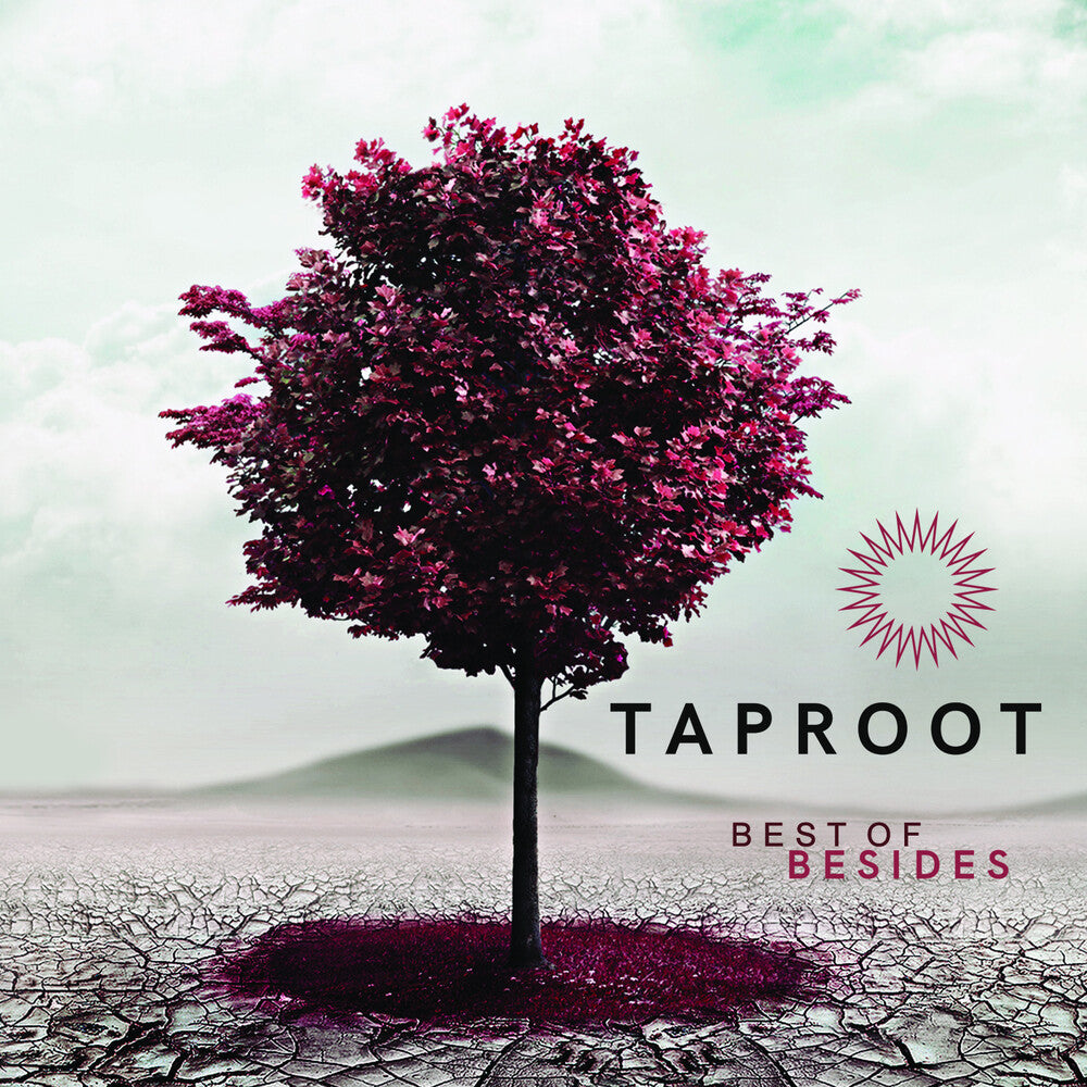 Taproot - Best Of Besides [CD]
