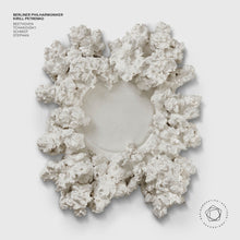 the album cover for L Beethoven .V. / Schmidt / Stephan - Petrenko Conducts The Berlin Philharmonic