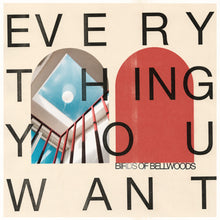 the album cover for Birds of Bellwoods - Everything You Want - Bone Color [Colored Vinyl] [180 Gram]