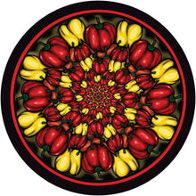 the album cover for Manda Moor - Picante (Ep)