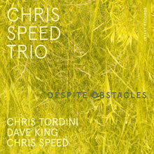 Chris Speed - Despite Obstacles Music CD