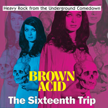 Brown Acid - Sixteenth Trip / Various - Brown Acid - Sixteenth Trip / Various [LP] Vinyl Record