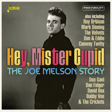 Joe Melson - Joe Melson Story: Hey Mister Cupid (Uk) [CD]