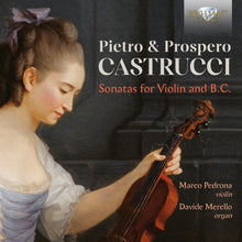 Castrucci / Pedrona / Merello - Sonatas For Violin & B.C. [CD]