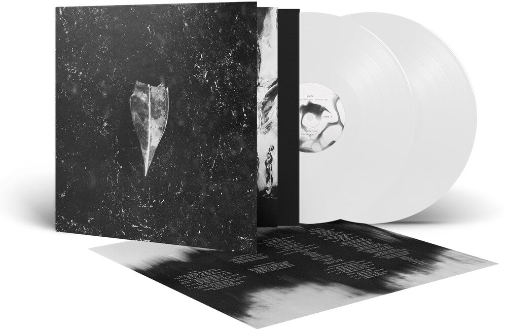 the album cover for Bees Made Honey in the Vein Tree - Aion - White [Colored Vinyl] (Gate) (Wht)
