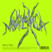 the album cover for Nihiloxica - Source Of Denial