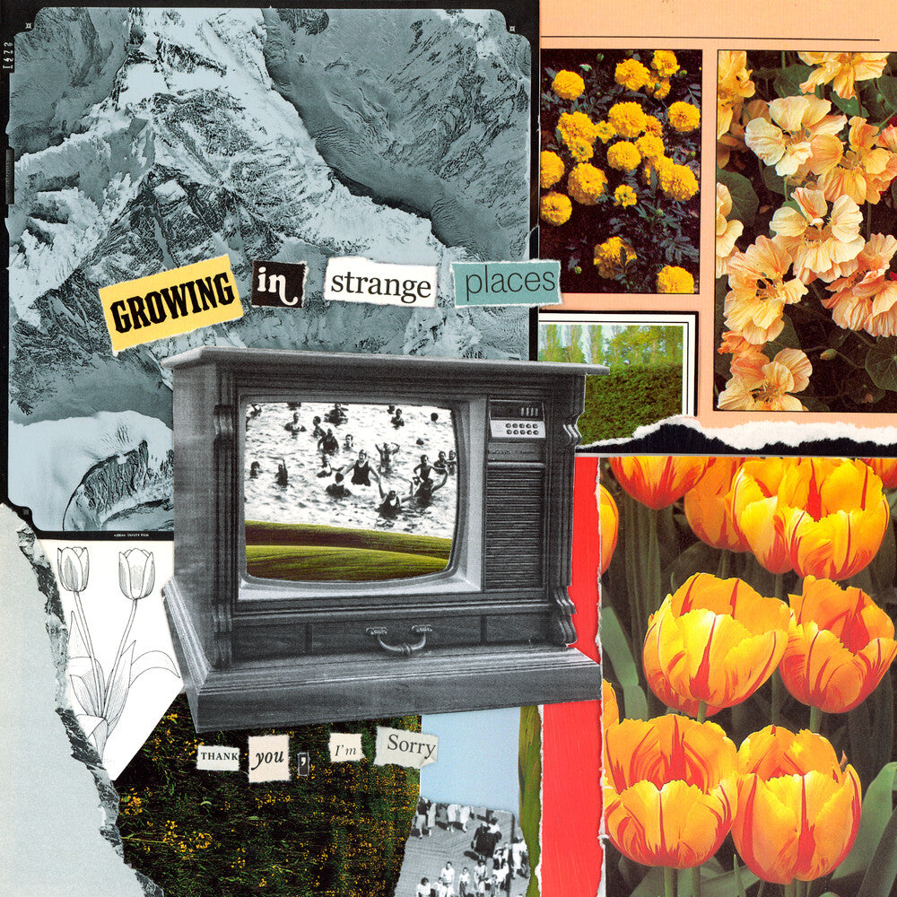 the album cover for Thank You, I'm Sorry - Growing In Strange Places - Orange Crush [Colored Vinyl]