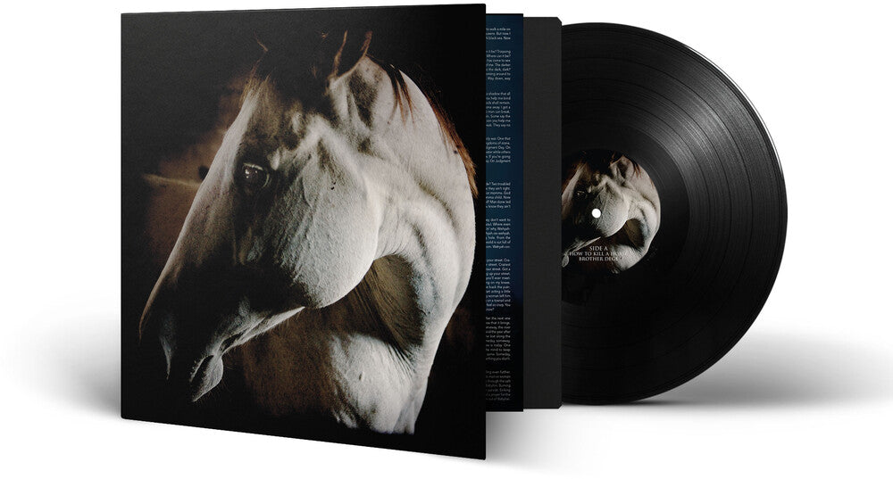 the album cover for Brother Dege - How To Kill A Horse
