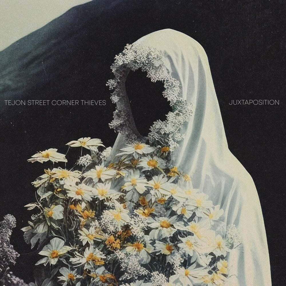 Tejon Street Corner Thieves - Juxtaposition Music CD