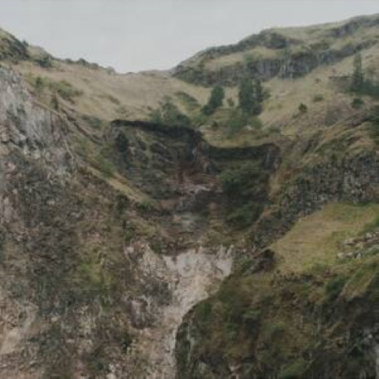 Escalator Music (2LP)
