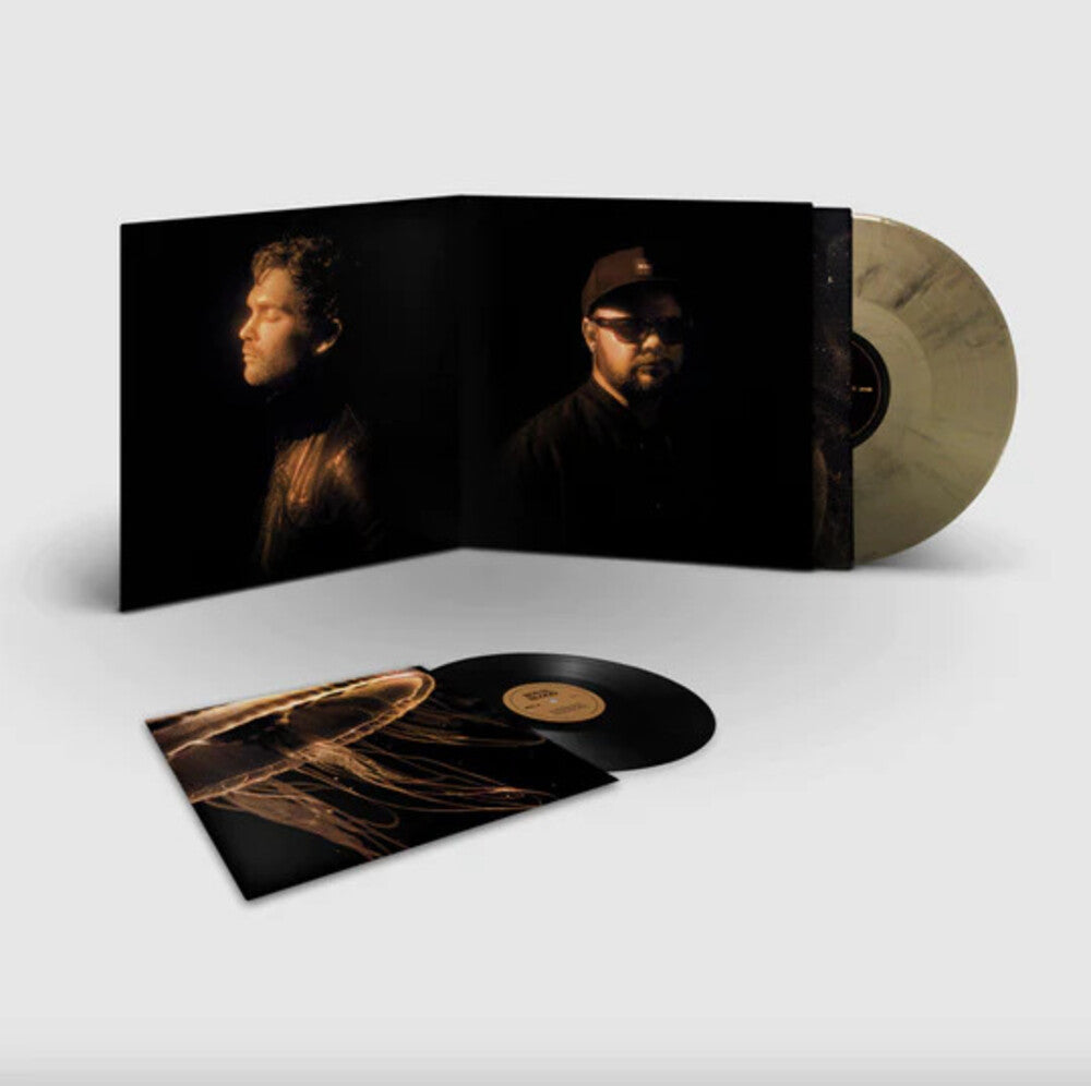 the album cover for Royal Blood - Back To The Water: Deluxe (Blk) [Colored Vinyl] [Deluxe] (Gol)