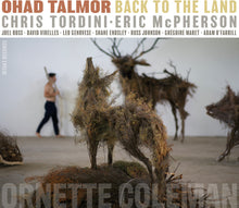 the album cover for Ohad Talmor - Back To The Land