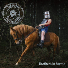 the album cover for Steve N Seagulls - Brothers In Farms