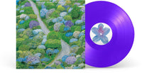 the album cover for Fiddlehead - Between The Richness [Colored Vinyl] (Viol) (Can)