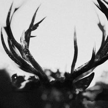 Ihsahn - Ihsahn [CD]