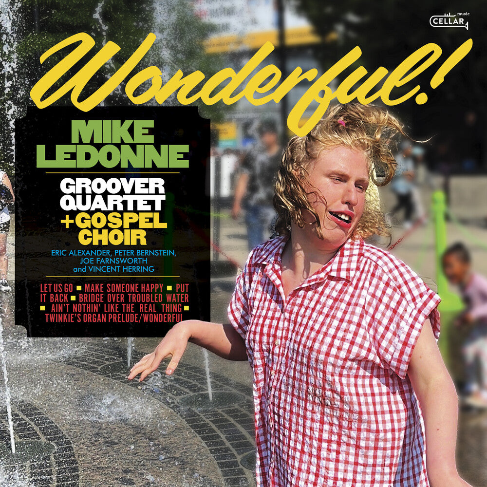 the album cover for Mike Ledonne  & Groover Quartet - Wonderful [180 Gram]