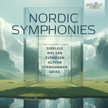 Alfven / Stenhammar / Malmo Symphony Orchestra - Nordic Symphonies [CD]