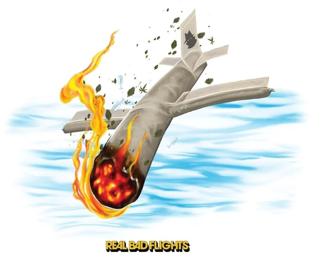 the album cover for Pink Siifu & Real Bad Man - Real Bad Flights