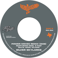 the album cover for Silver Skylarks - Power Moves