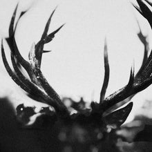 Ihsahn - Ihsahn [LP] Vinyl Record