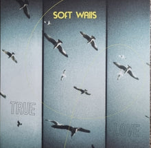 the album cover for Soft Walls - True Love (Uk)
