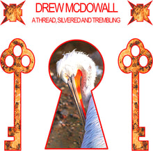 Drew McDowall - Thread, Silvered And Trembling [Colored Vinyl] (Red) Vinyl Record