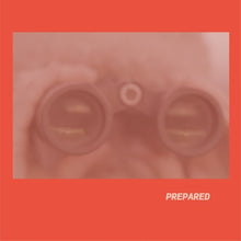 the album cover for Laura Martin  J - Prepared - Rose Pink Vinyl (Uk)
