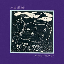 the album cover for Nick Delffs - Transitional Phase