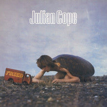 the album cover for Julian Cope - Fried [180 Gram] (Uk)