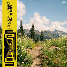 the album cover for J.R.C.G. - Grim Iconic (Sadistic Mantra) [Colored Vinyl]