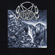 the album cover for Steinras - Steinras [Limited Edition]