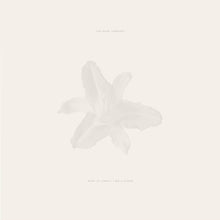 the album cover for Dead Tongues - Body Of Light / I Am A Cloud