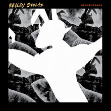 the album cover for Kelley Stoltz - Crokodials